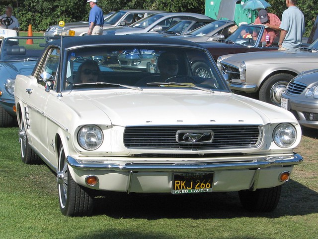 3708703236_546592db62_z.jpg