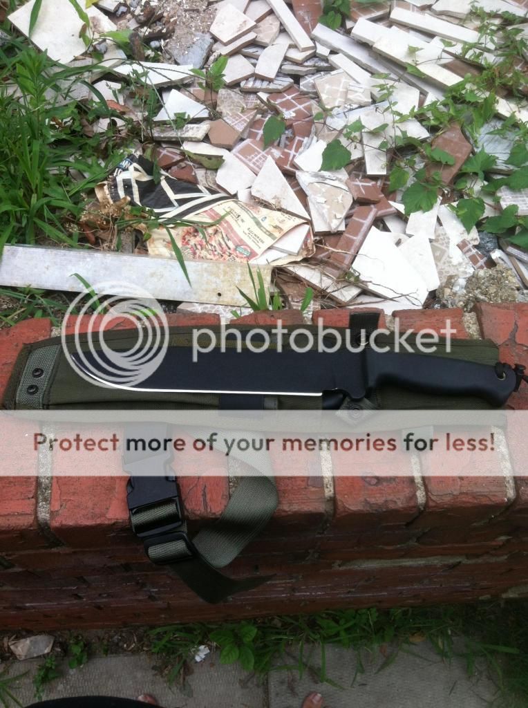 photo4-3_zpsaf80acc9.jpg