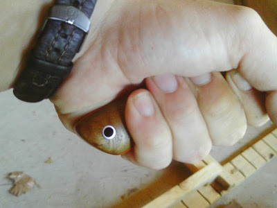 IMAG0056.JPG