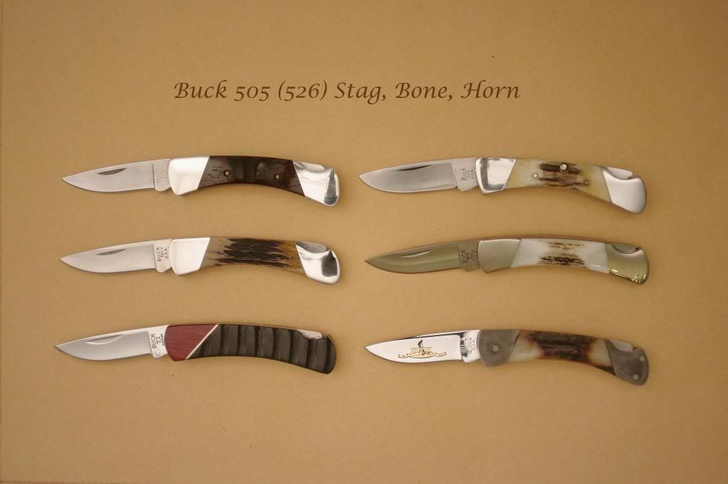 Buck505StagHornBone_zps9ab737e0.jpg
