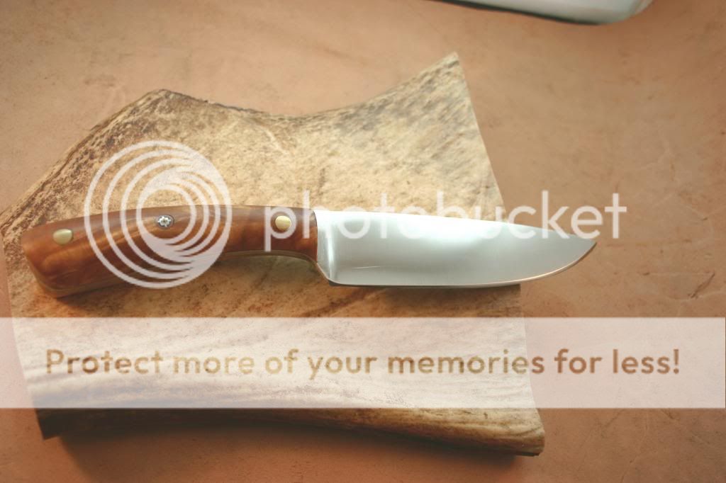 IMG_4306_1_zps4cdfbc59.jpg