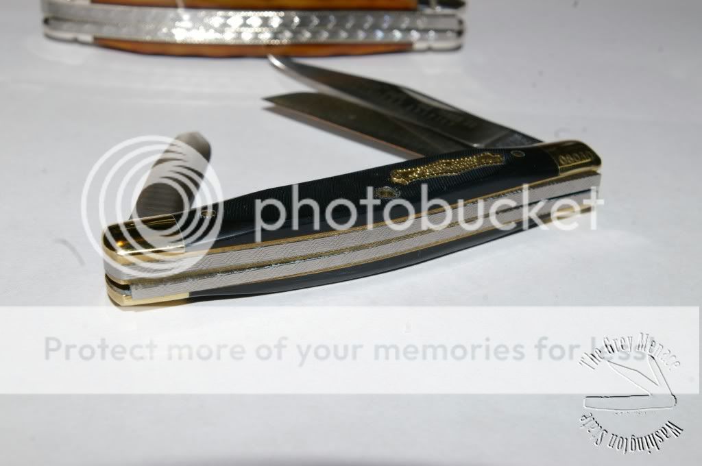 IMGP3762.jpg