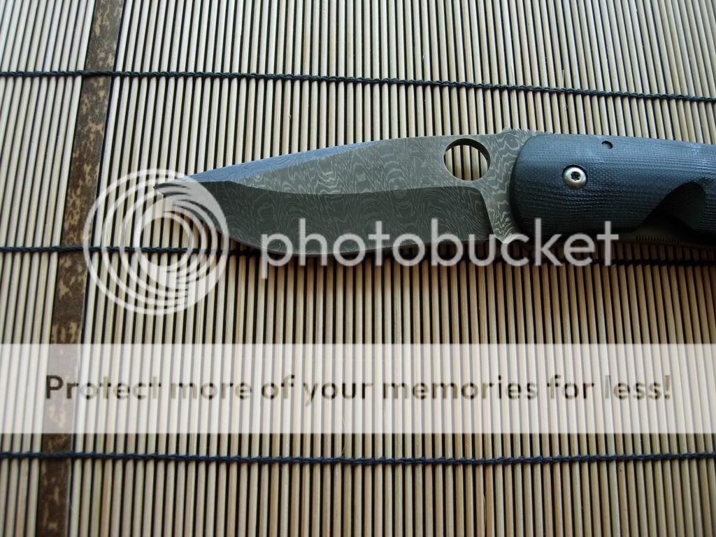 DSCN2478web.jpg