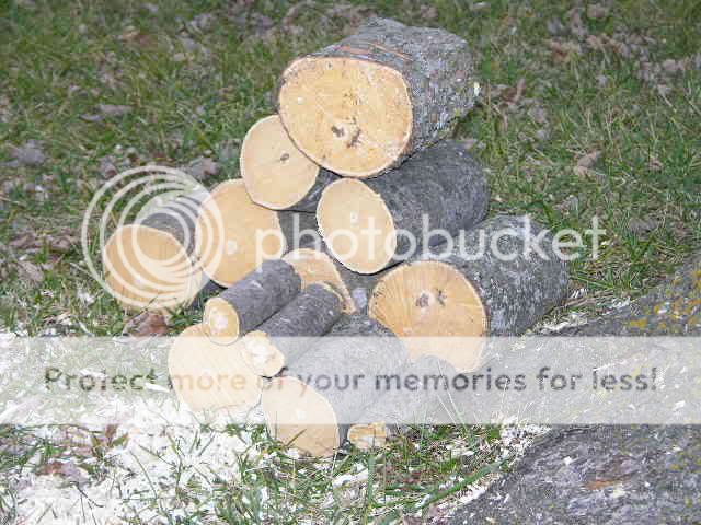 LogCabinContest001.jpg
