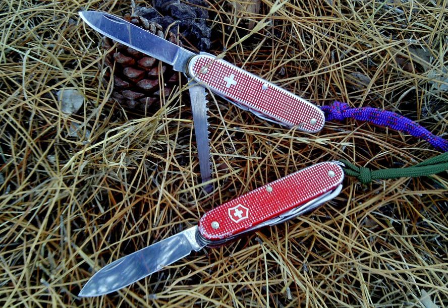 2ALOXWoods1_zpsae7bafe5.jpg