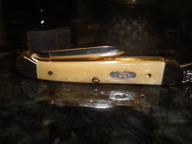 DSC01152.jpg