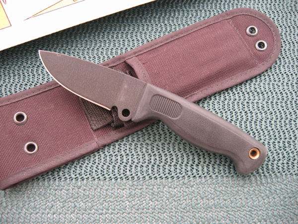 Busse_Basic3_04.gif