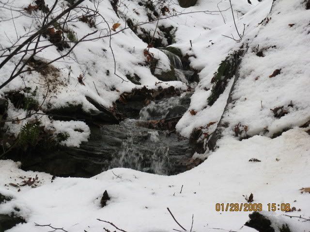 snowdayforthepets036.jpg