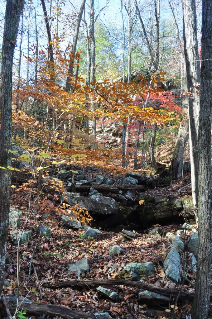 DSC_4780.jpg