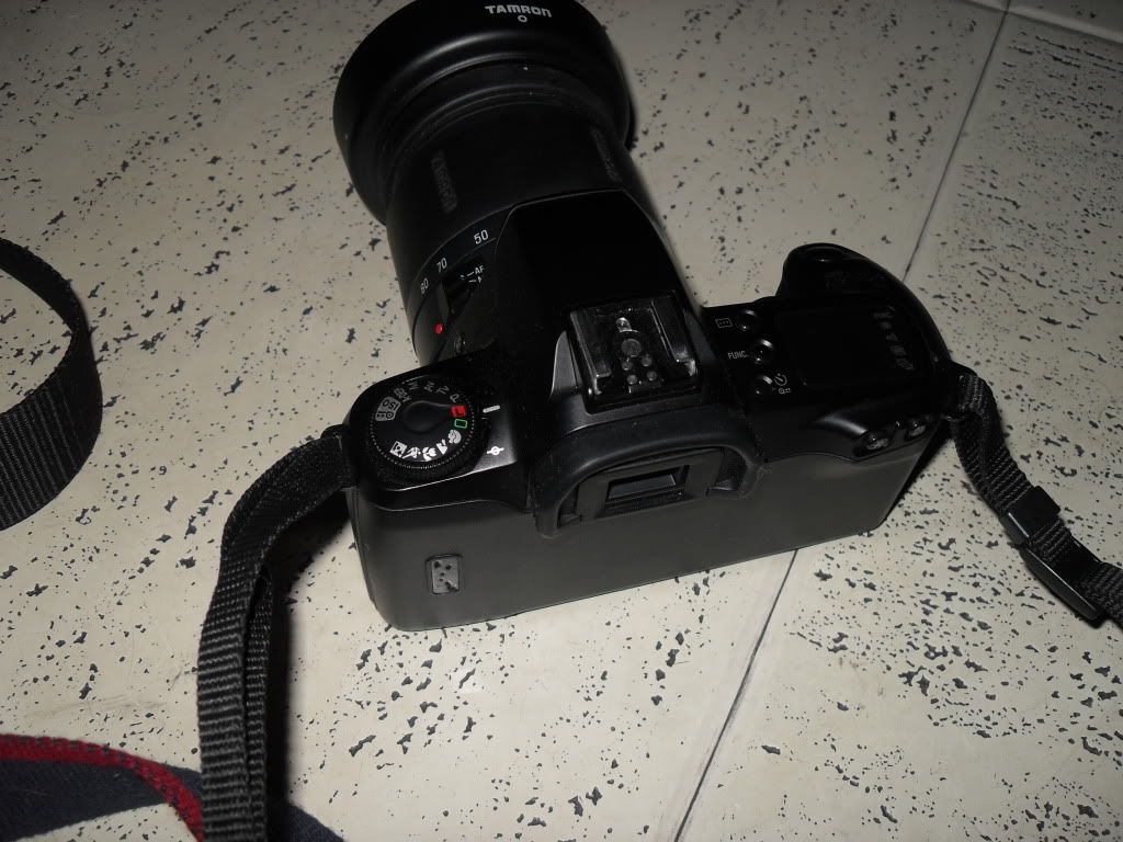 SDC12403.jpg
