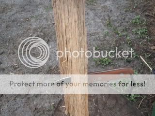 IMG_1761.jpg