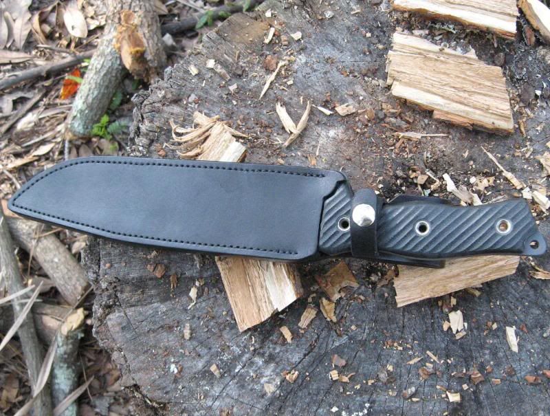 M9CG019.jpg