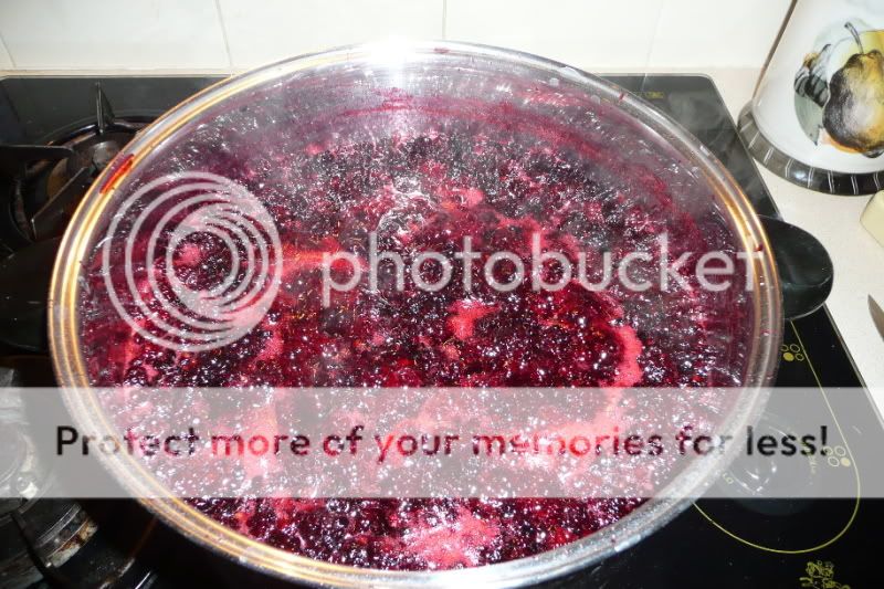 BlackberryJamcooking1.jpg