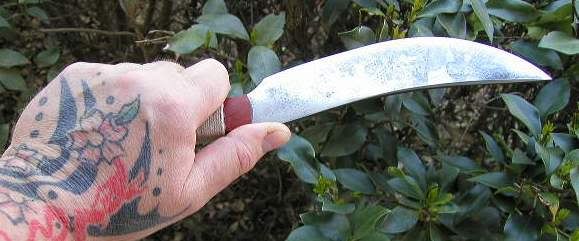ser560b.jpg