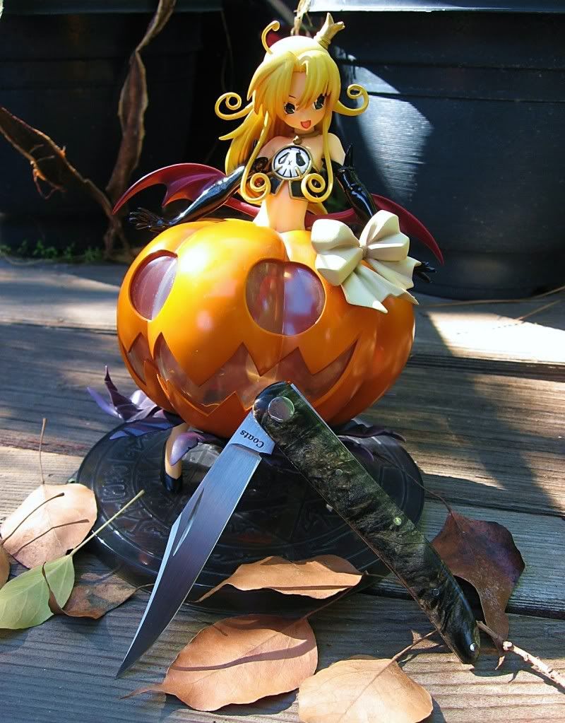 CoatsToothpickandthePumpkinPrincess.jpg