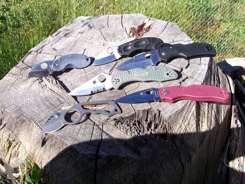 delica2.jpg