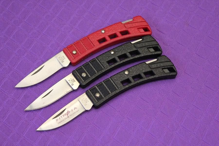 tinyBucksa.jpg