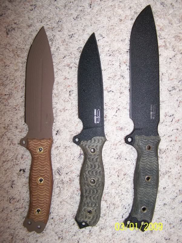 Busse001.jpg