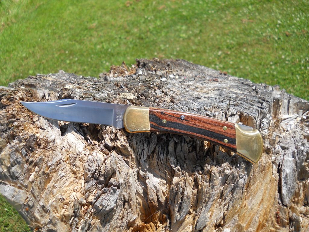 Buck110002.jpg