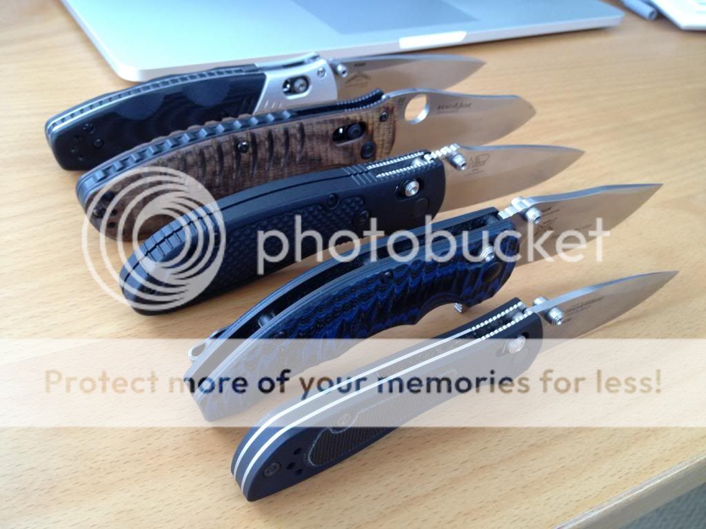 IMG_4599_zps65e53240.jpg