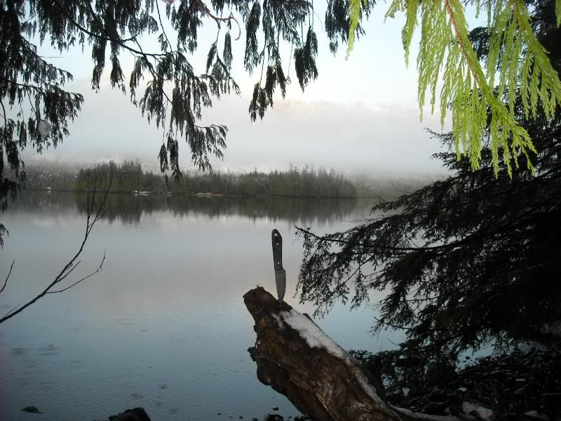 DSCN0726.jpg