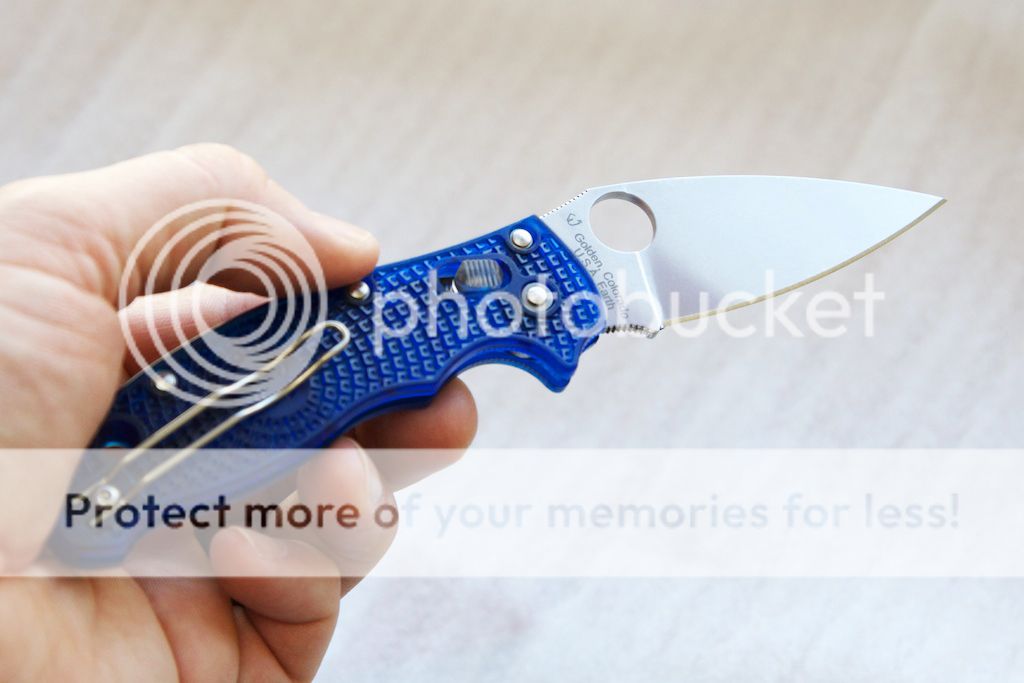 IMG_5316_Manix2BlueTrans_zpsd8c70d9a.jpg
