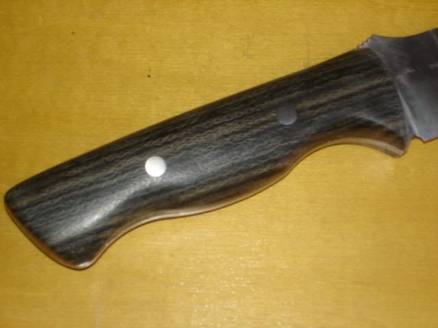 ml4.jpg
