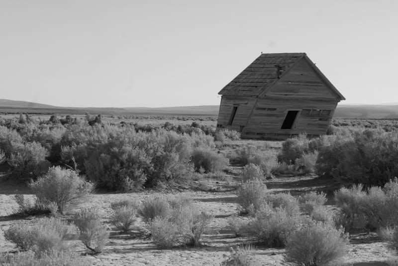 DSC_0103_zps246686f0.jpg