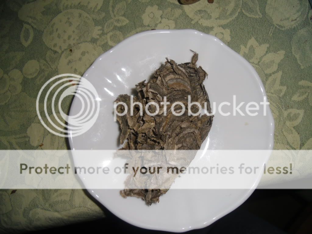 PICT0001-75.jpg