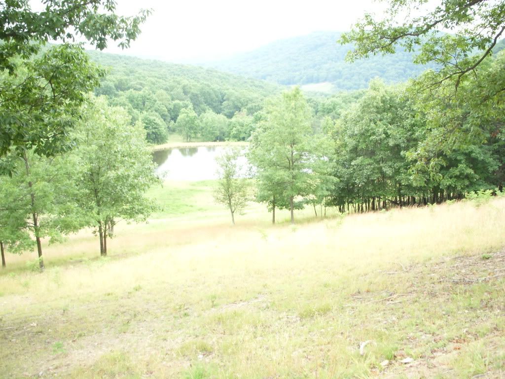 DSCN0871.jpg