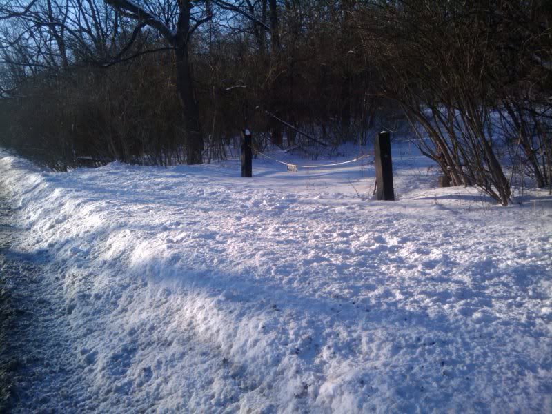 2011-02-03155734.jpg