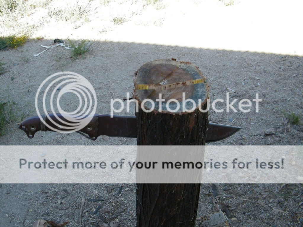 DSCF2835.jpg