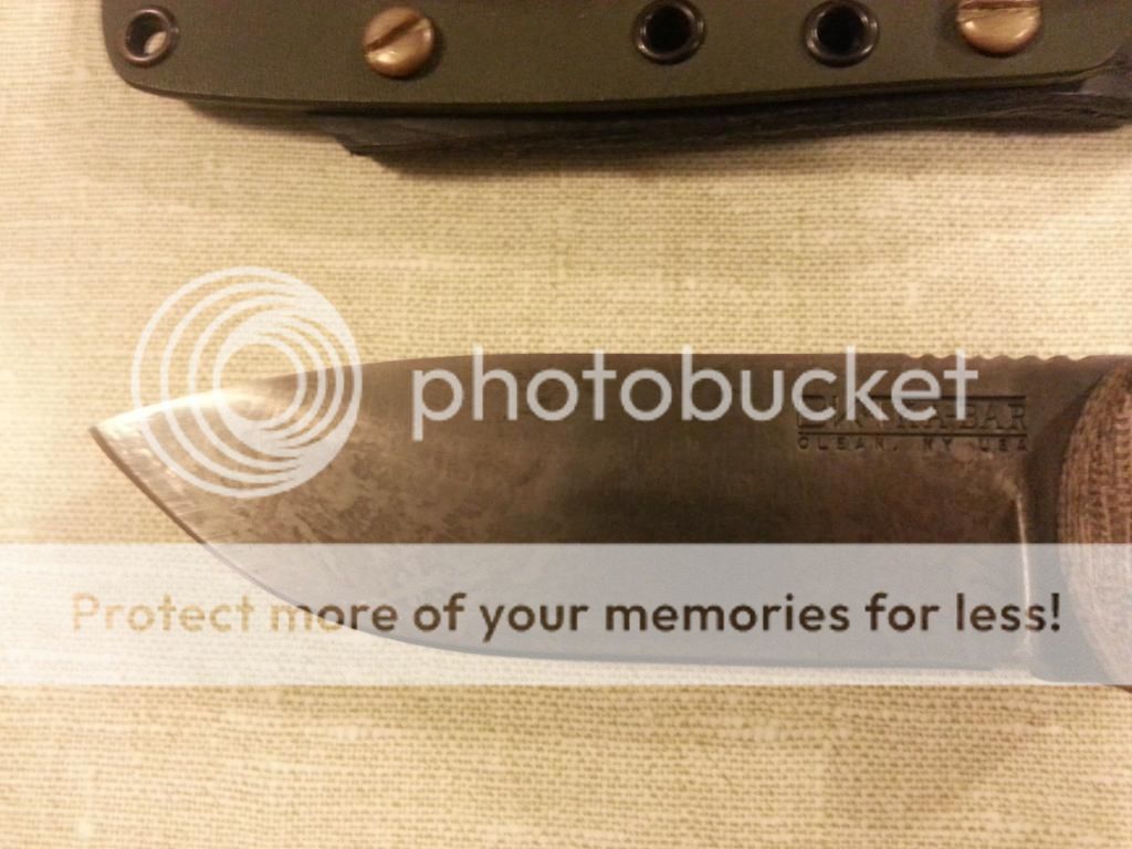 20140810_201225_zpsqtd7tahk.jpg