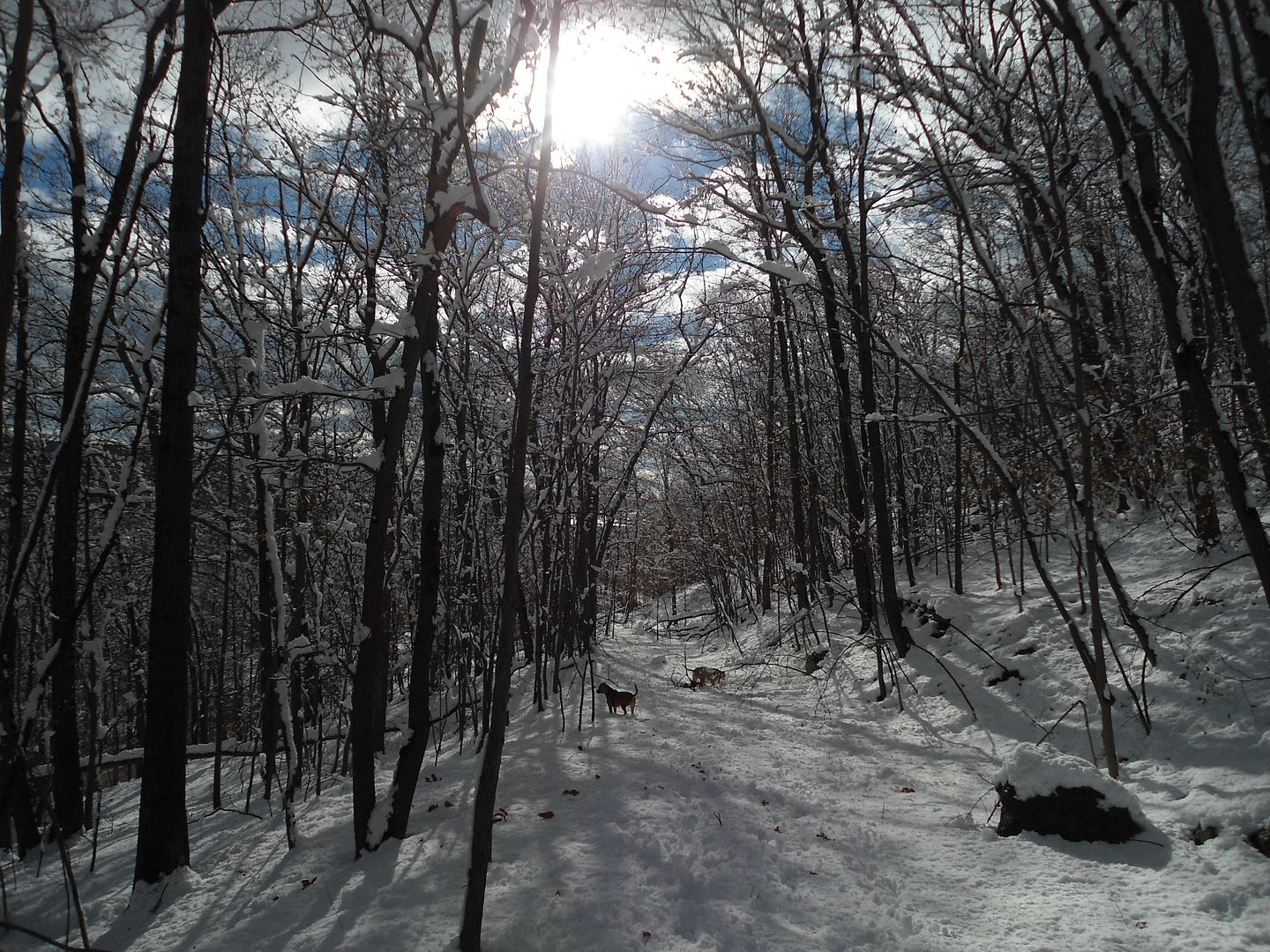 DSC03586_zpsce34ce50.jpg