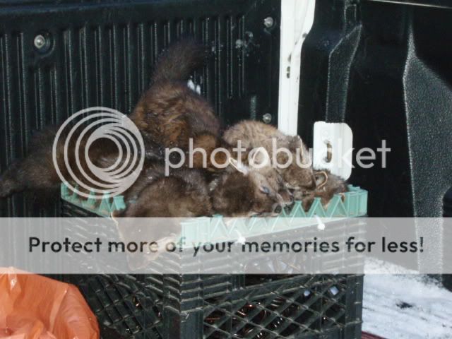 hunting083.jpg