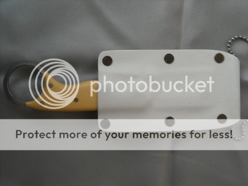 DSCN2987.jpg