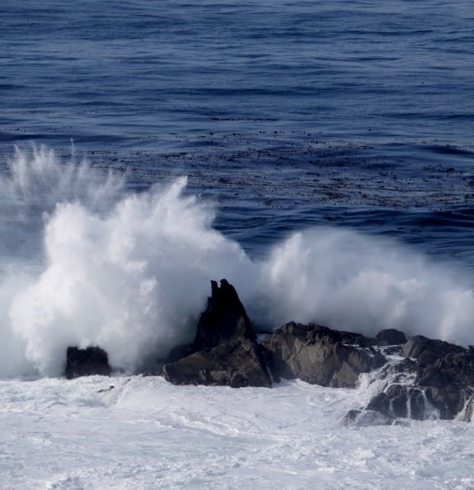 MFBigSur003.jpg