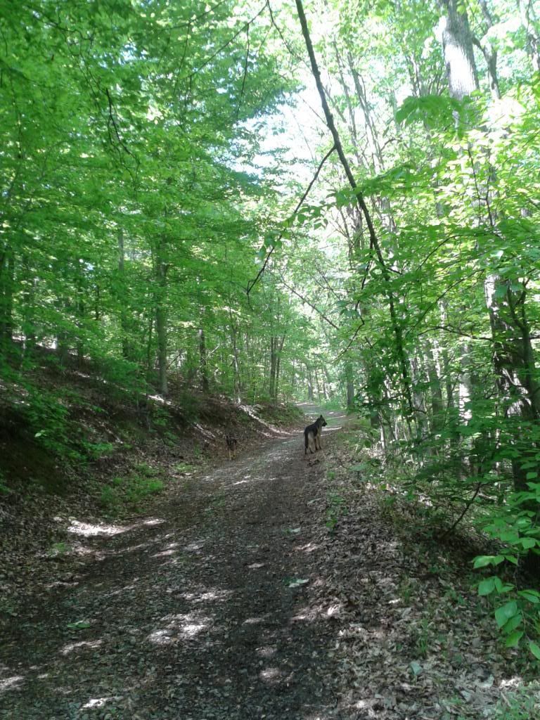 2012-04-29150036.jpg