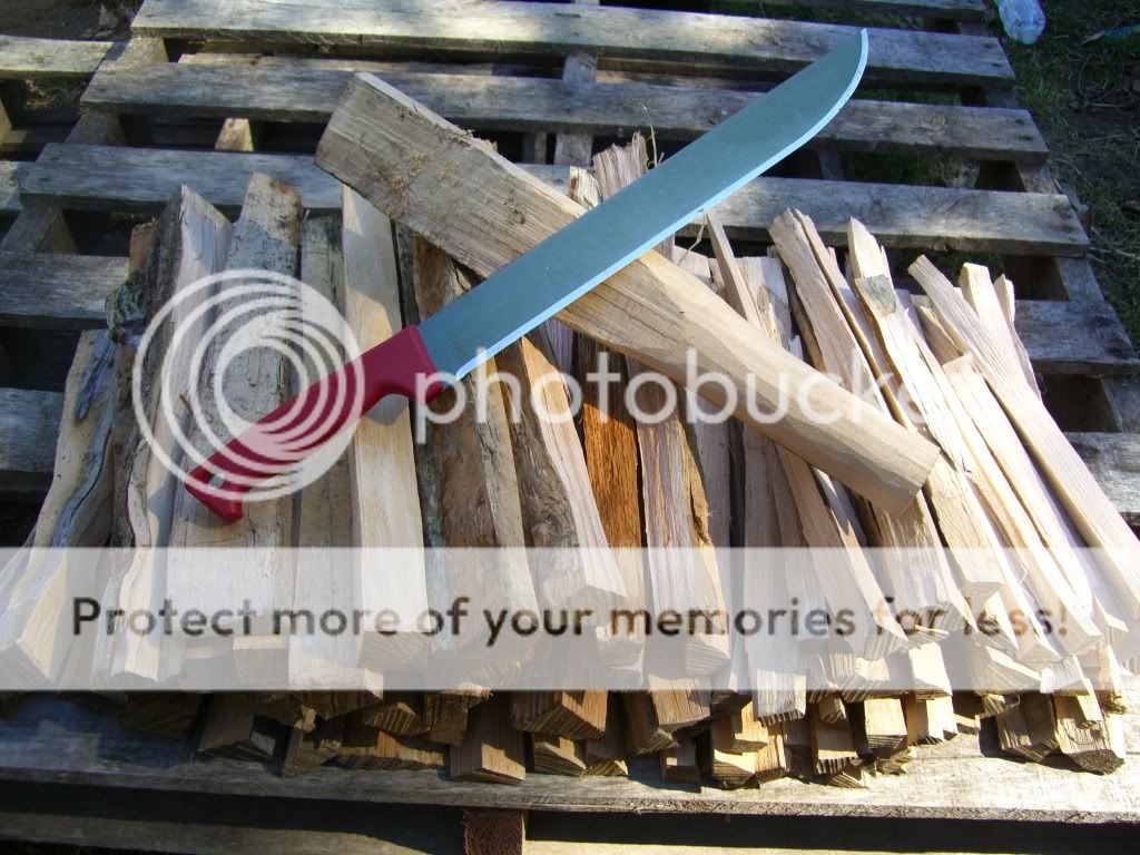 CIMG0501.jpg