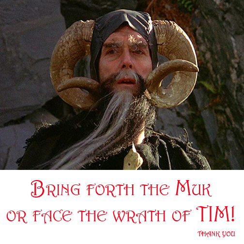 tim-the-enchanter.png