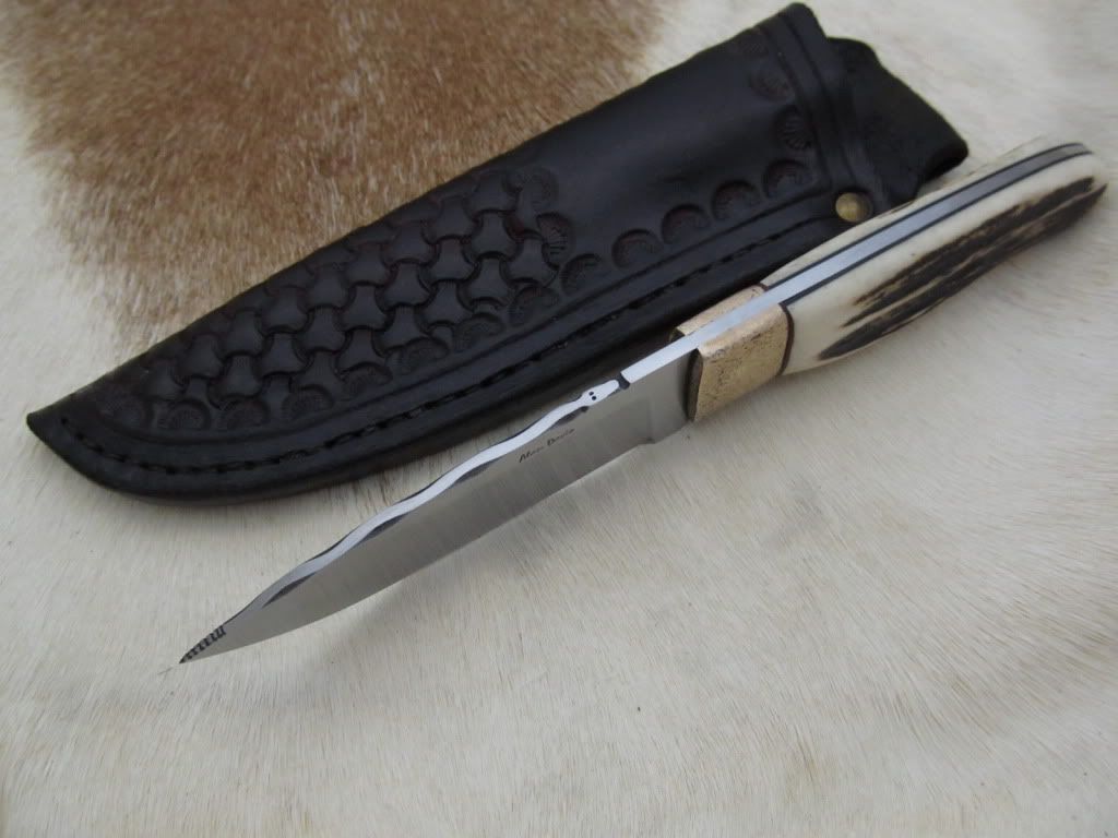stagbronzehunter010.jpg