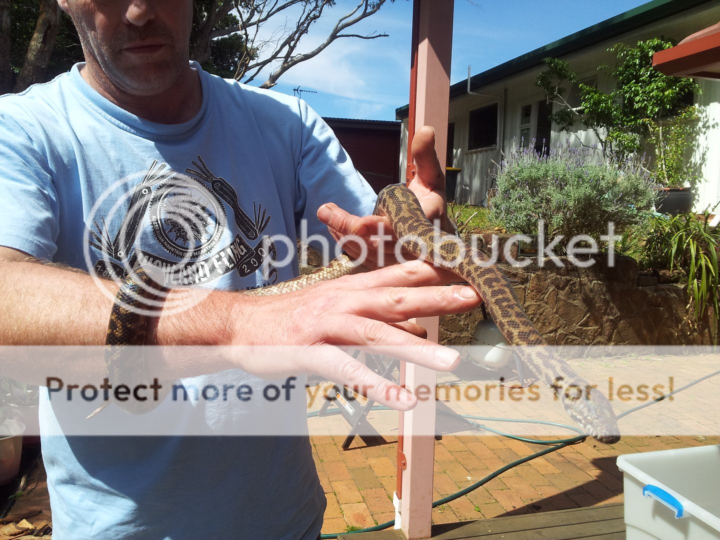 2013-09-22121530_zps5b0b5e62.jpg
