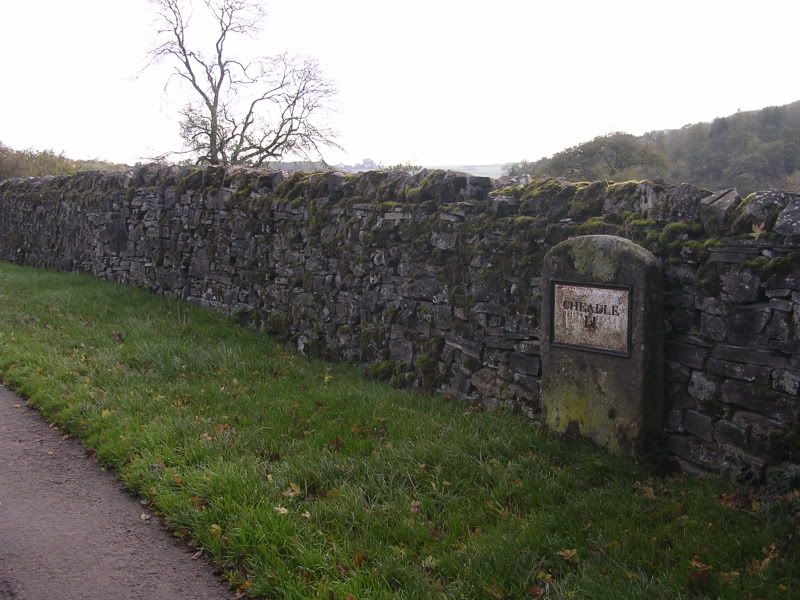 DSCN2907.jpg