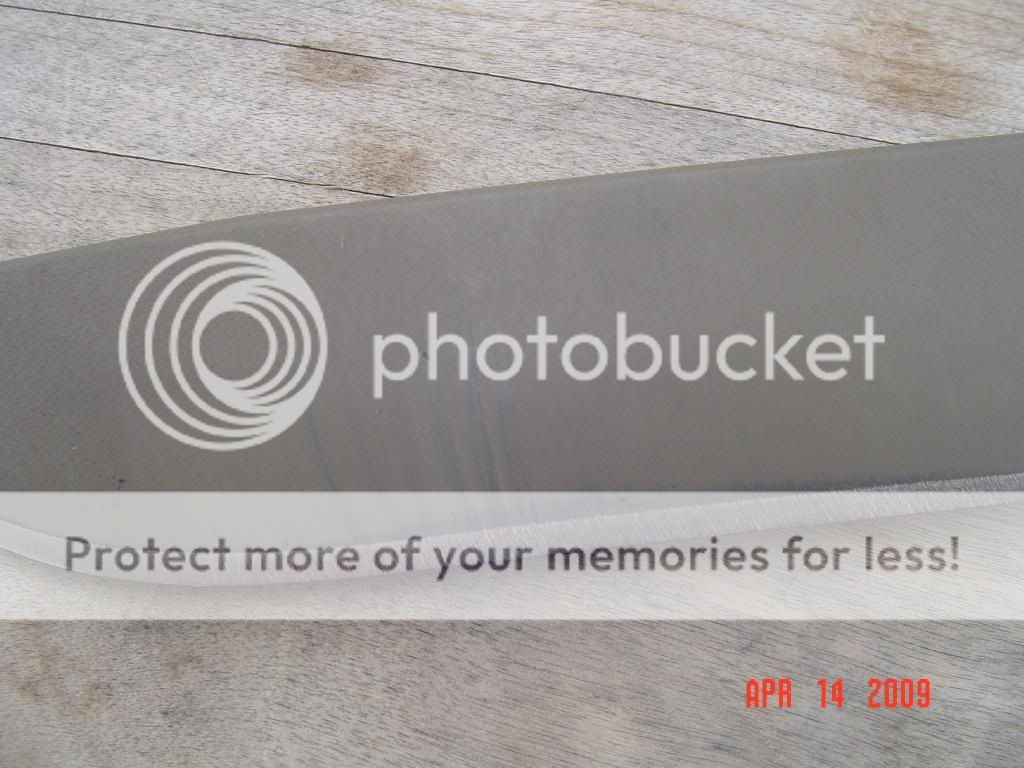 DSC01211-1.jpg