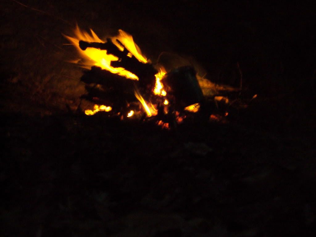 DSC00930.jpg
