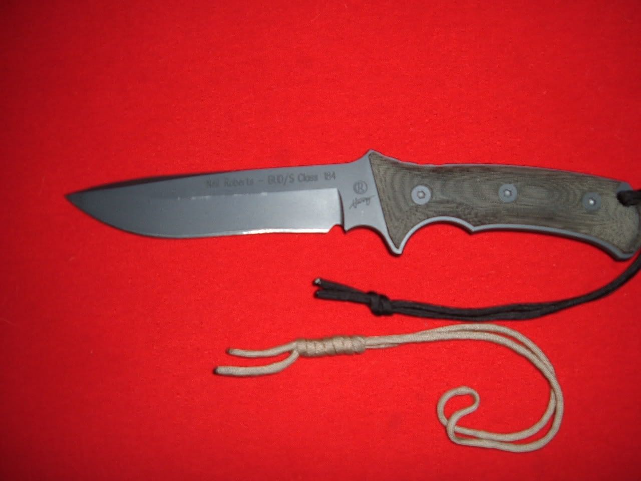DSCF0637.jpg