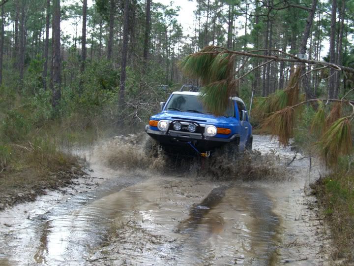 FJSwamp.jpg