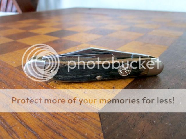 IMG_0241.jpg~original