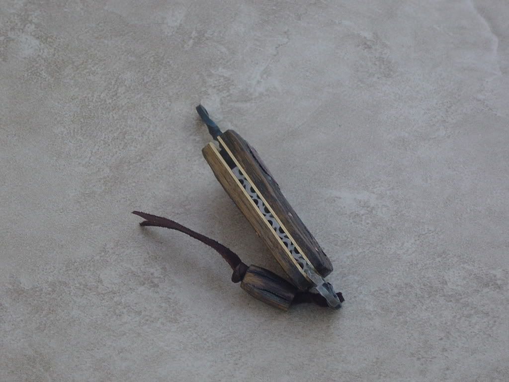 DSC02865.jpg