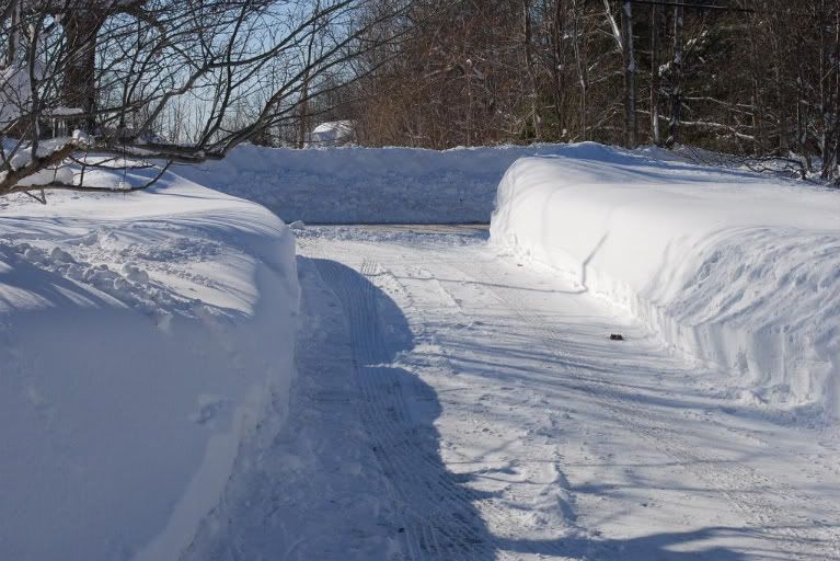 DSC_0013.jpg